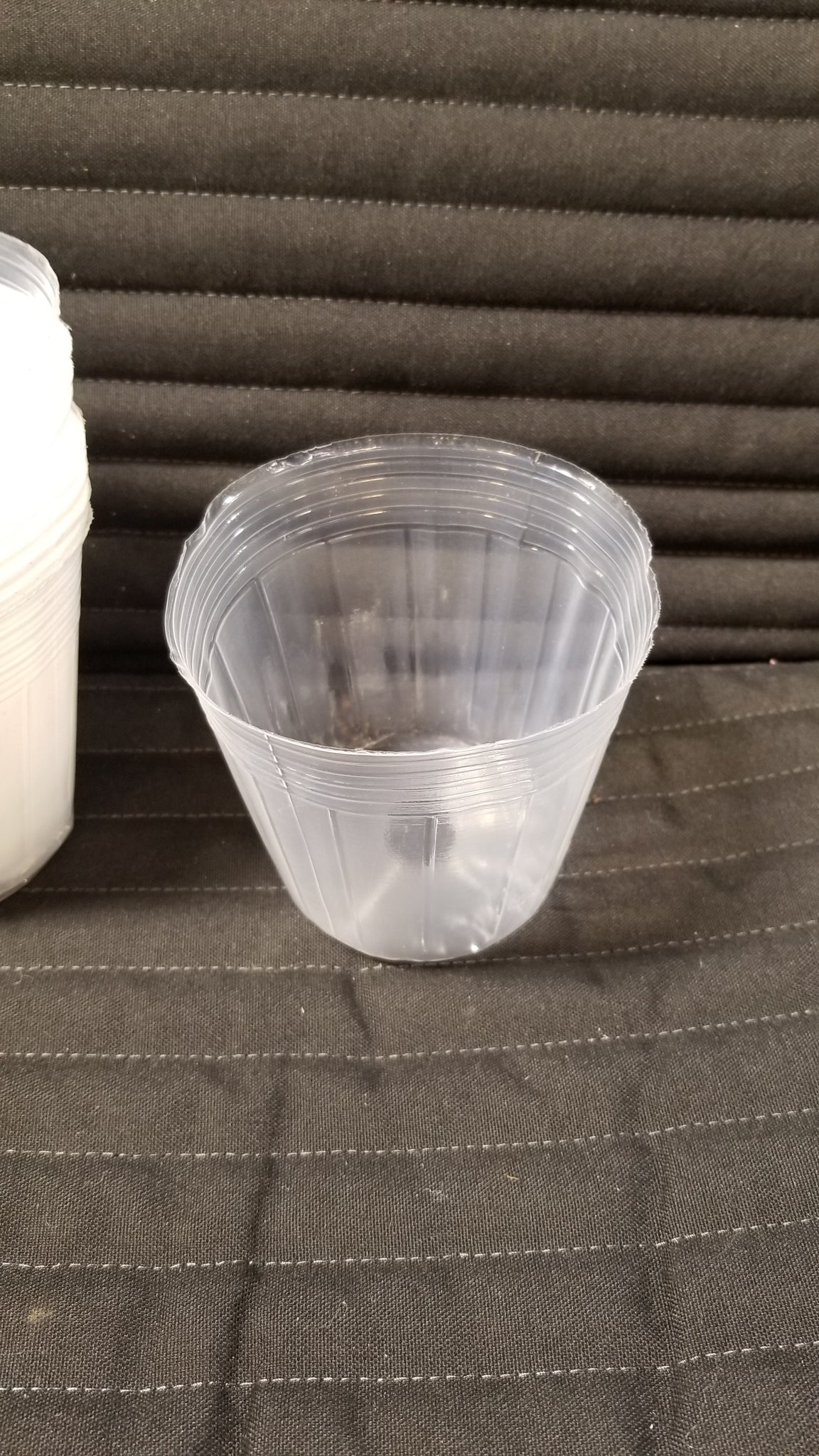 clear plastic plant pot 4" Flexible Transparent Plastic Planter pot – Han's House of Plants