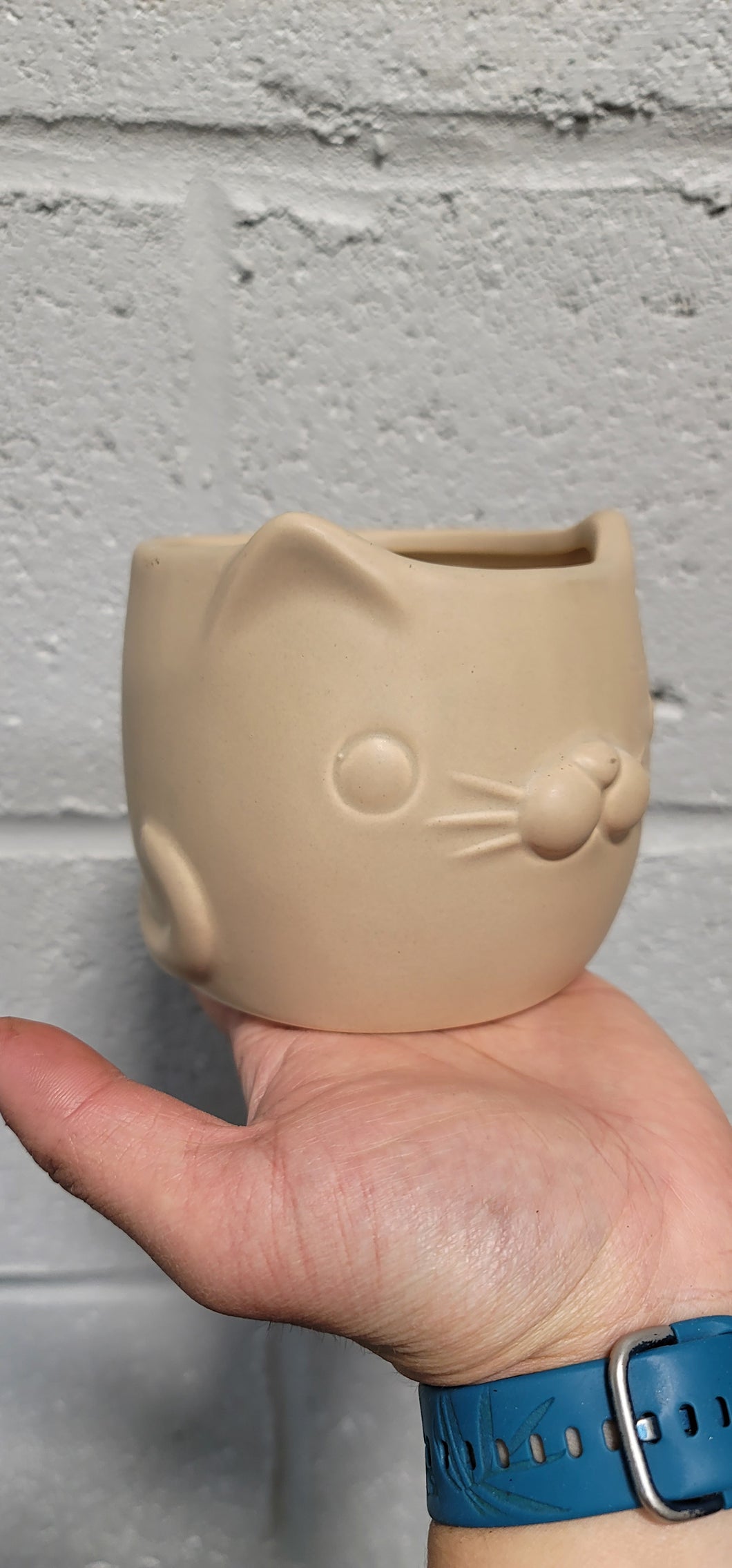 Cat Ceramic Planter