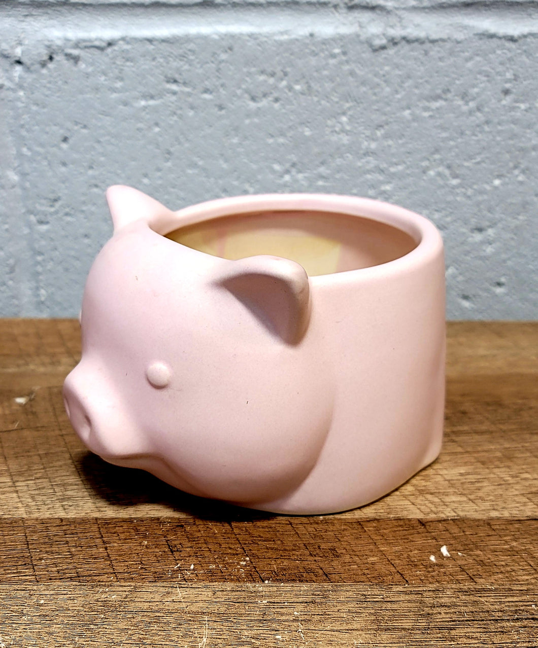 Pig Ceramic Planter