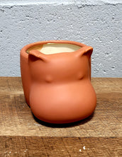 Load image into Gallery viewer, Hippo Ceramic Planter
