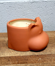 Load image into Gallery viewer, Hippo Ceramic Planter
