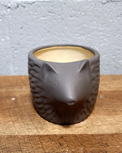 Load image into Gallery viewer, Porcupine Ceramic Planter
