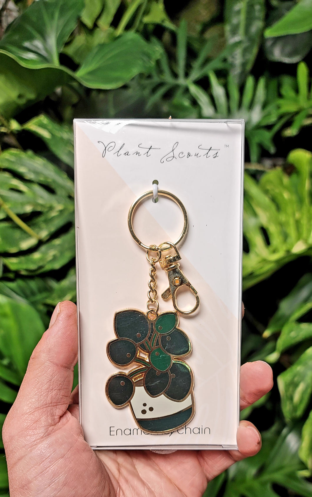 Peperomia Pilea keychain