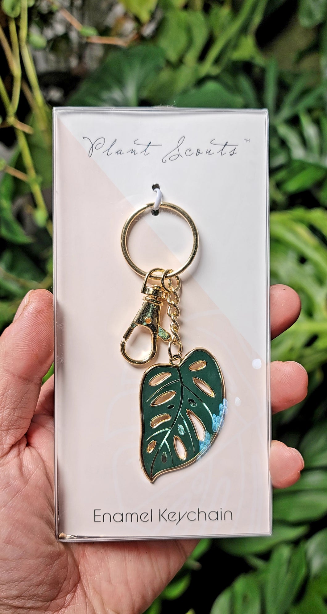 Monstera Adansonii Keychain