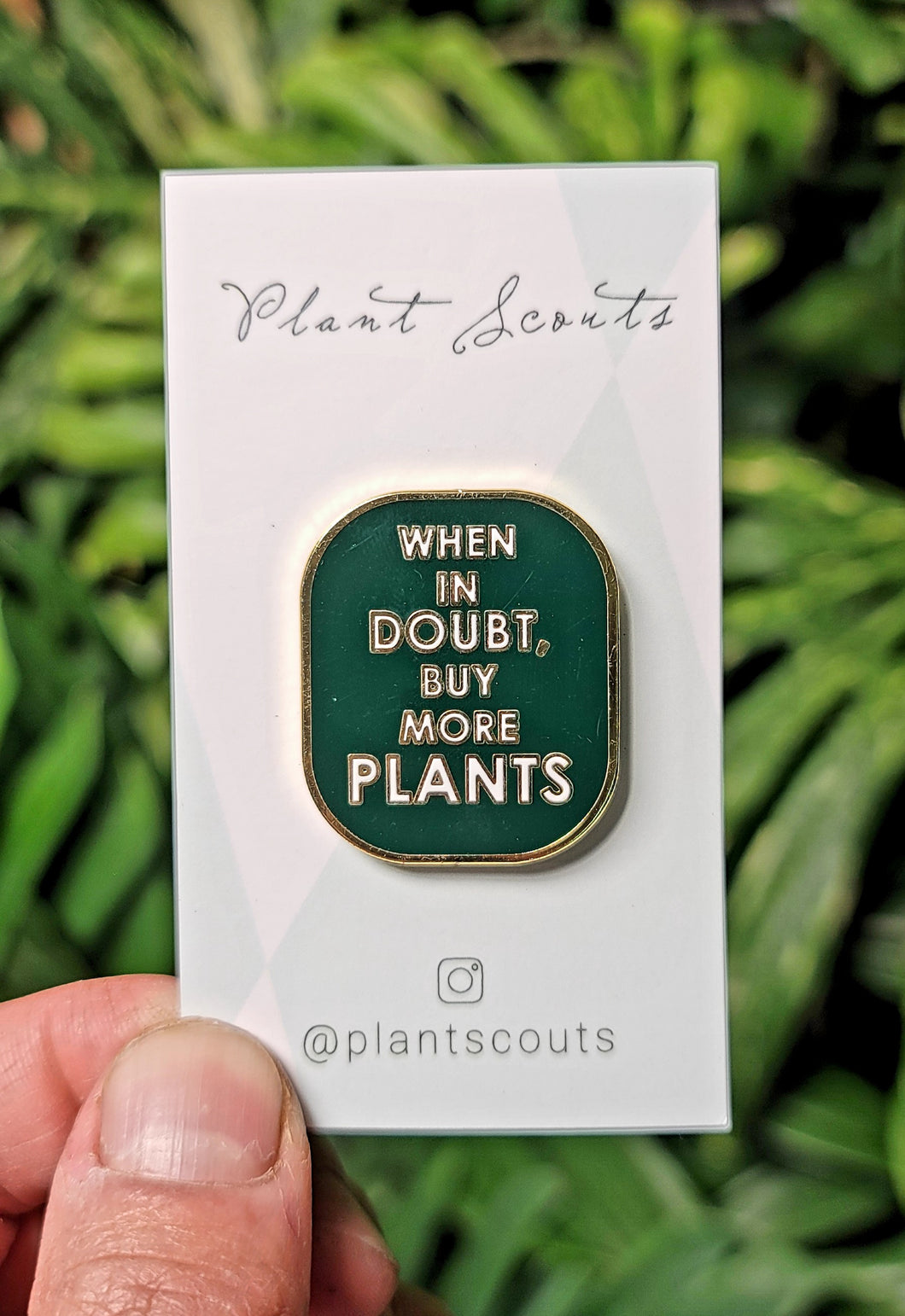 When in doubt, buy more PLANTS Pin